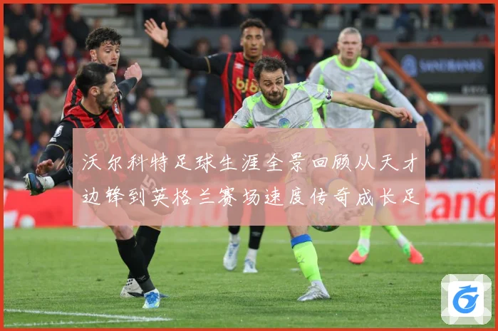 沃尔科特足球生涯全景回顾从天才边锋到英格兰赛场速度传奇成长足迹-深度解析