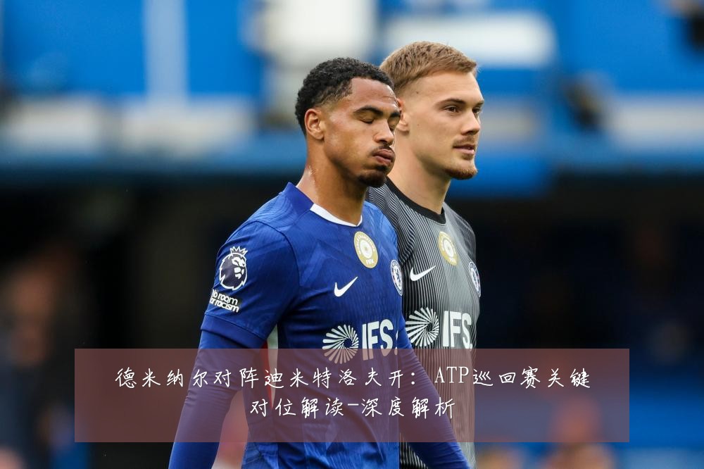 德米纳尔对阵迪米特洛夫开:ATP巡回赛关键对位解读-深度解析